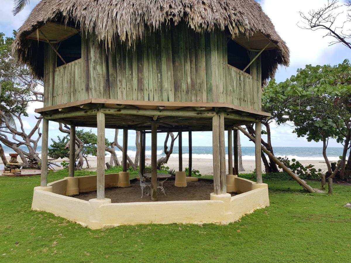 Calabazo  Ecolodge Playa Brava Teyumakke מראה חיצוני תמונה
