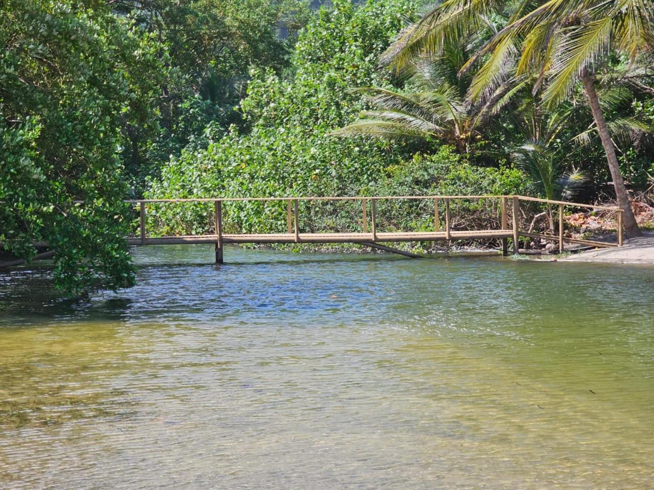 Calabazo  Ecolodge Playa Brava Teyumakke מראה חיצוני תמונה