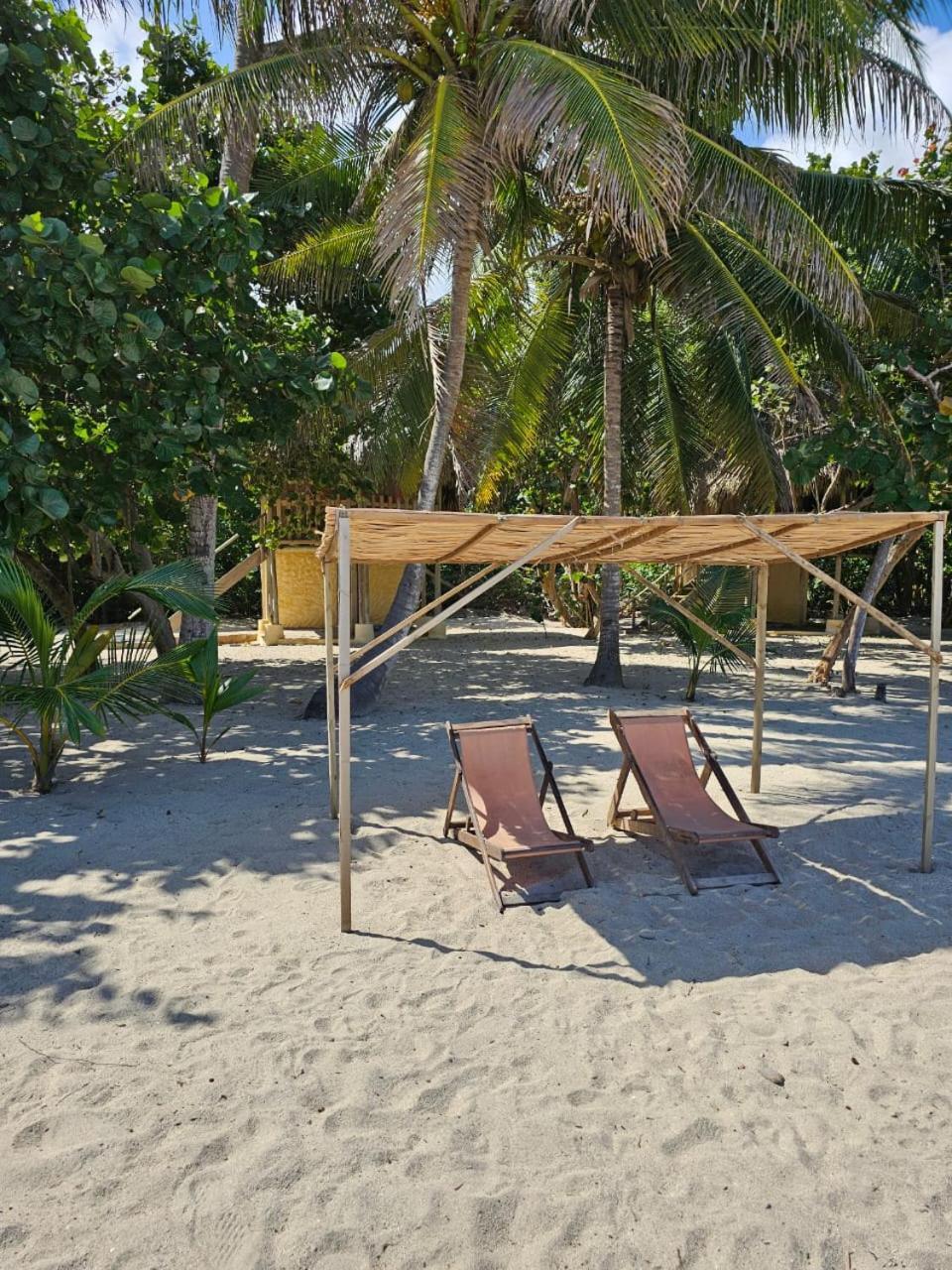 Calabazo  Ecolodge Playa Brava Teyumakke מראה חיצוני תמונה