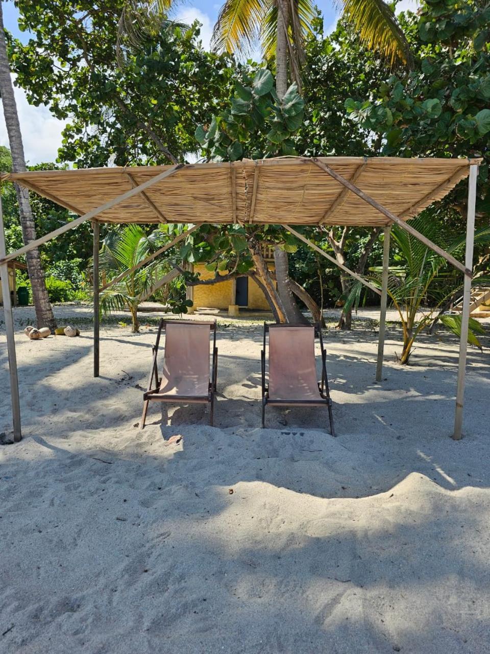 Calabazo  Ecolodge Playa Brava Teyumakke מראה חיצוני תמונה