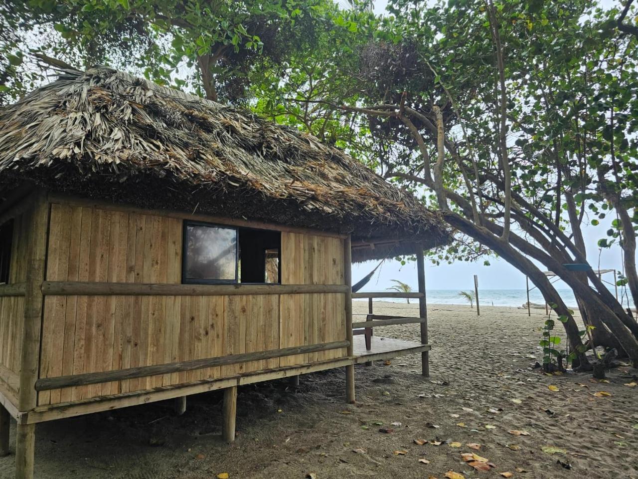 Calabazo  Ecolodge Playa Brava Teyumakke מראה חיצוני תמונה