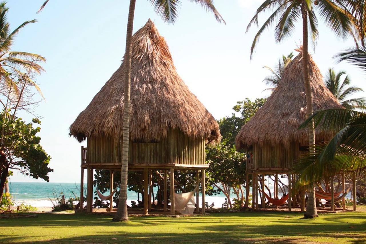 Calabazo  Ecolodge Playa Brava Teyumakke מראה חיצוני תמונה